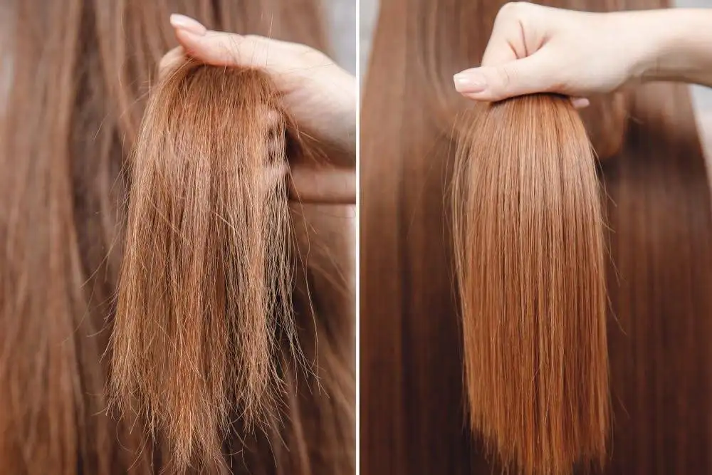 Salon ambiance photo at His and Her Hairloft Orchard