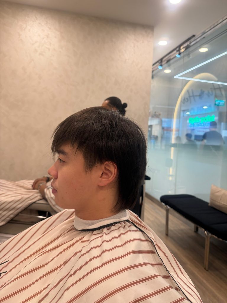 Korean Mullet Haircut in Orchard, Singapore – Modern Layers with Soft Flow before